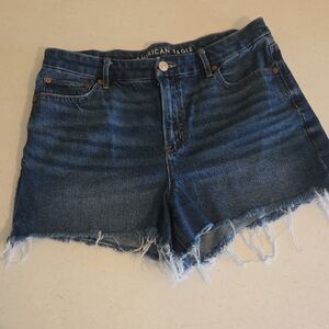 American Eagle Outfitters Distressed Blue Jean Shorts